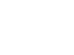briefcase icon